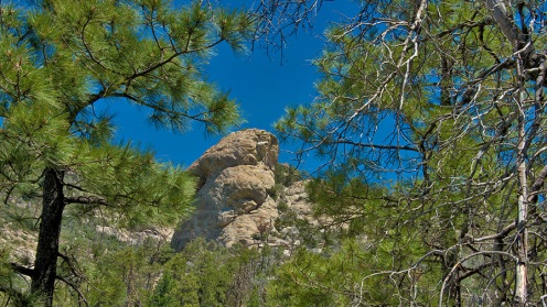 Palisades Trail June 18 2012