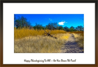 Fall Along The Tanque Verde Wash