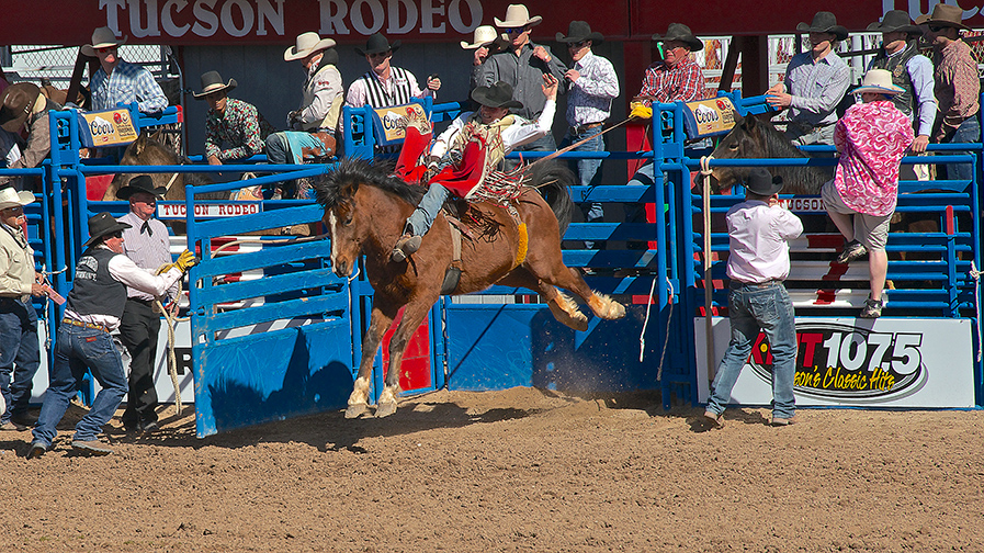 Tucson Rodeo 02-17-13