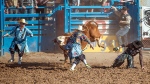 Bull Riding-0389 blog