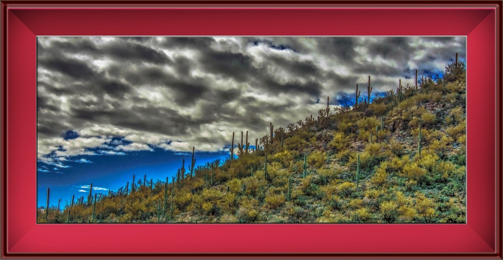 Saguzro Cactus January 27, 2014-Living On The Edge Art II framed blog