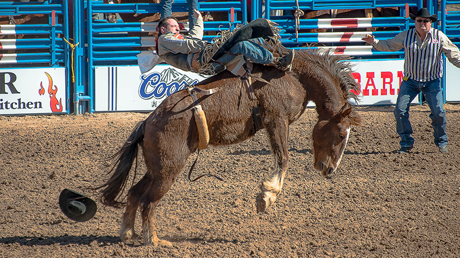 Tucson Rodeo 2014-0103 blog