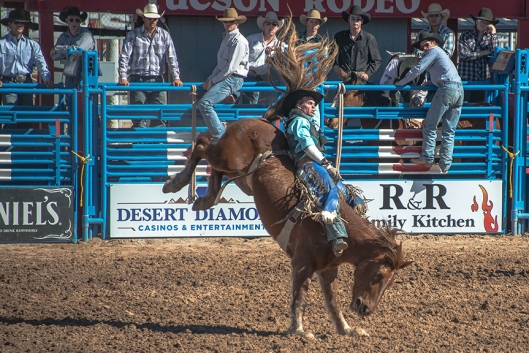 Tucson Rodeo 2014-0113 blog