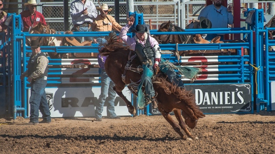 Tucson Rodeo 2014-0175 blog