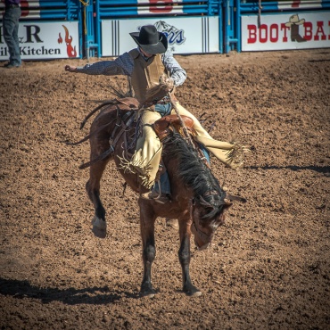 Tucson Rodeo 2014-0198 blog