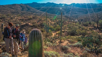 Carillo Trail (1 of 1)-7 blog