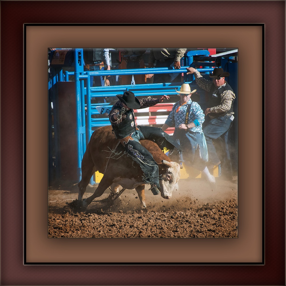 Bull Riding-0386 blog