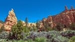 Bryce Canyon (1 of 1)-14 blog