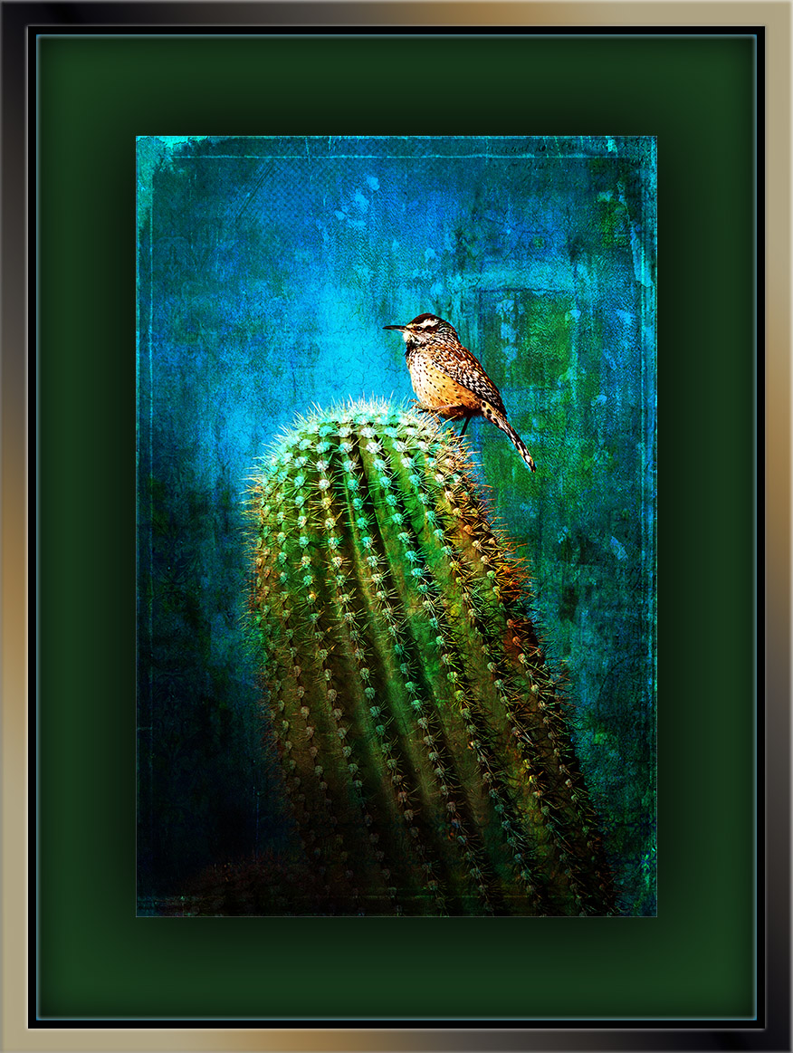 Cactus Wren (1 of 1)-3 grunge art blog