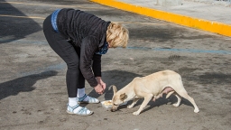 Tosh Feeding Dog at Hermosillo Rest Break
