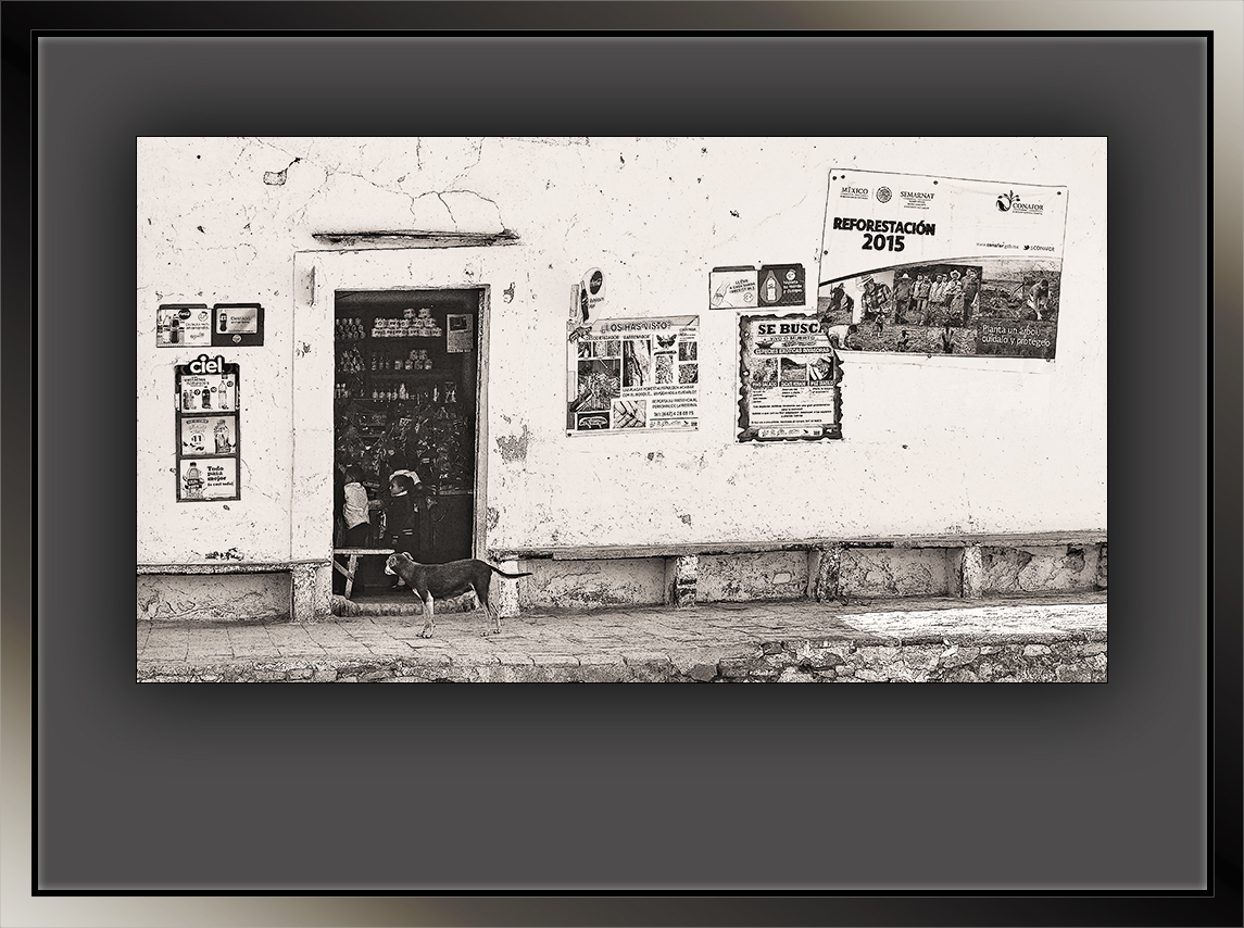Mexican Village Store B&amp;W (1 of 1)-2 zoom blog