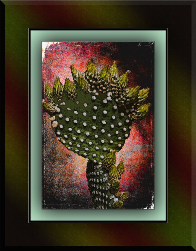 Prickly Pear Buds (1 of 1) art blog