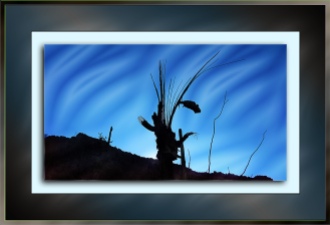 Dead Saguaro Shadow_0899-ghost-of-desert-past-blog