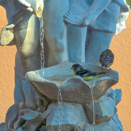 Patio Fountain