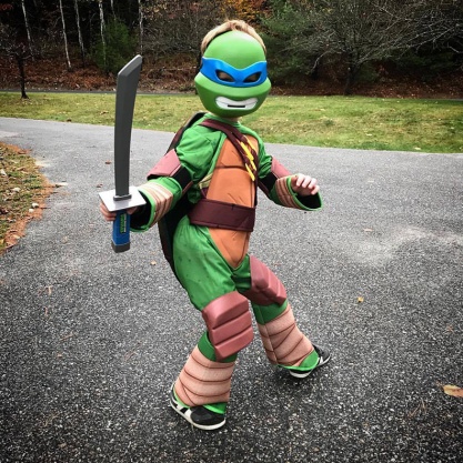 Ninja Turtle Jaxon framed blog